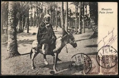 AK Ägypten, Memphis Palm Forest