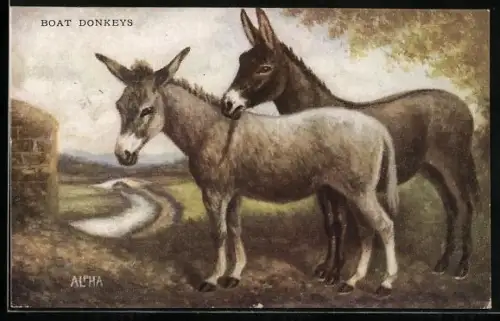 AK Boat Donkeys
