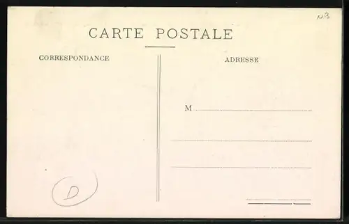 AK Brésil, Etat de Minas Geraes, Specimen de Zébu