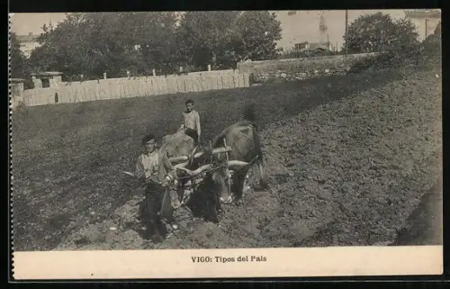 AK Vigo, Tipos del Pais