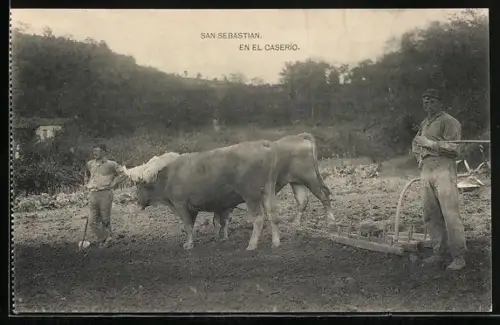 AK San Sebastian, En el caserio