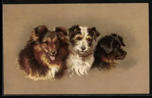AK Drei süsse Terrier