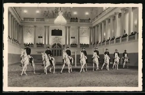 AK Wien, Spanische Reitschule, Vorführung klassischer Reitkunst