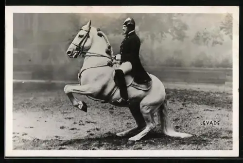 AK Wien, Spanische Reitschule, Levade