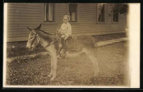Foto-AK Kleines Kind auf dem Rücken eines Esels