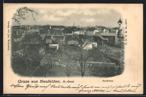 AK Neufelden /O.-Oest., Teilansicht mit Bäumen