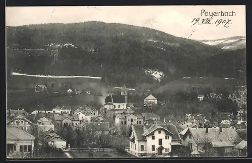 AK Payerbach, Panorama