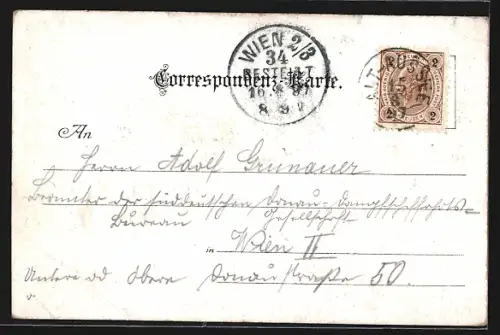 Lithographie Alt-Aussee, Gesamtansicht