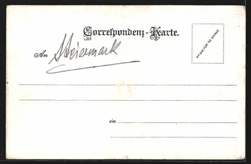 Lithographie Mürzsteg, Todtes Weib Wasserfälle, Teilansicht vom Ort