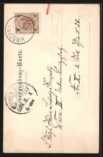 Künstler-AK Hirschbach /O.-Ö., Bad Grünbaum, Totalansicht aus der Vogelschau