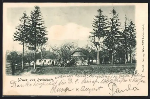 AK Mauerbach /N.-Oe., Hainbuch, Ortspartie mit Bäumen