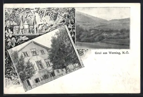 AK Werning /N.-Ö., Gasthaus, Ortsansicht mit Umgebung, Wein-Stilleben mit Weintrauben