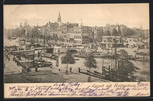 AK Rotterdam, Boompies en Leuvehaven