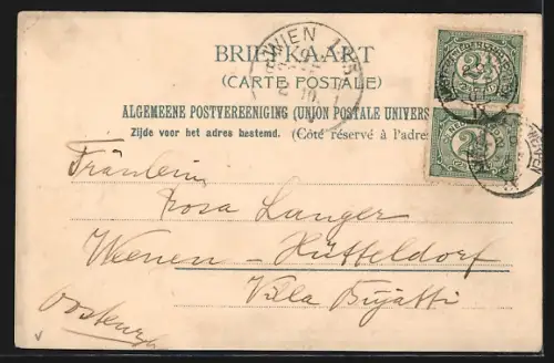 AK Rotterdam, Panorama