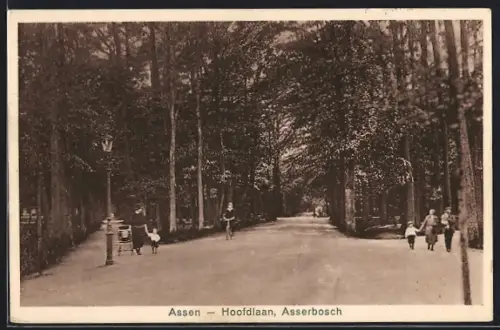 AK Assen, Hoofdlaan, Asserbosch