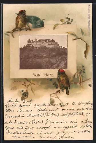 AK Coburg, Veste Coburg, Passepartout mit Singvögeln