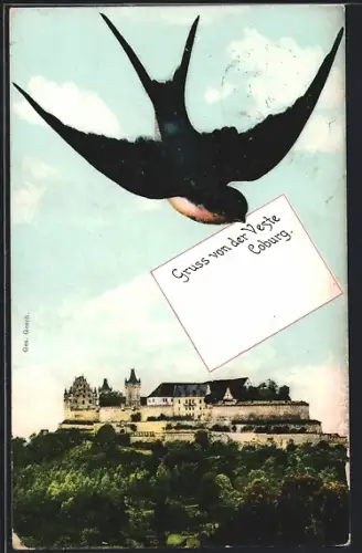Grusskarten-AK Coburg, Veste Coburg, Schwalbe mit Brief