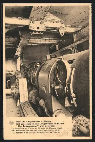 AK Moere, Pièce du Leugenboom, Innenansicht des Geschützes