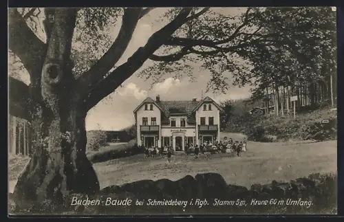 AK Schmiedeberg i. Rgb., Gasthaus Buchen-Baude