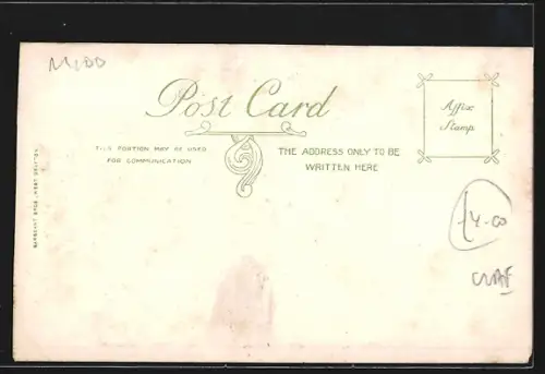 AK London, The Poplars, Side View of House and Lawn