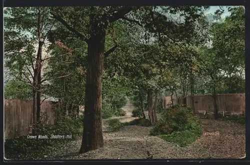 AK Crown Woods, Shooters Hill