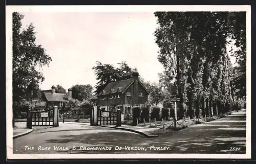 AK Puley, The Rose Wald and Romenade de Verdun