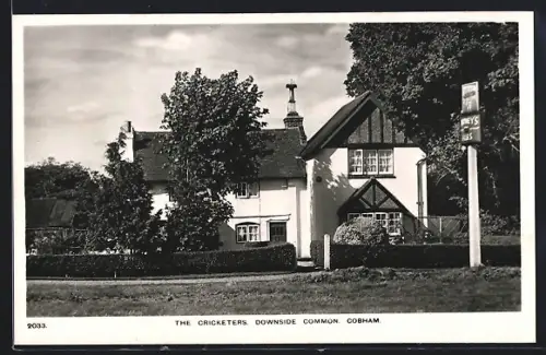 AK Cobham, The Chricketes, Downside Common