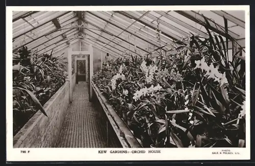 AK London, Kew Gardens, Orchid House