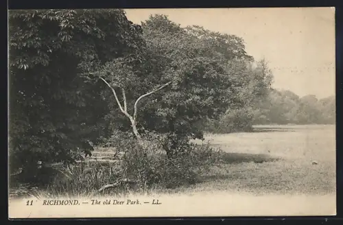 AK Richmond, The old Deer Park
