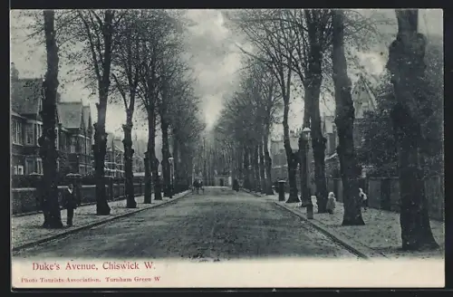 AK Chiswick, Duke`s Avenue