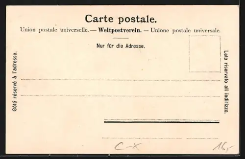 AK Bern, Einweihung des neuen Parlamentgebäudes 1902, Fahnenträger