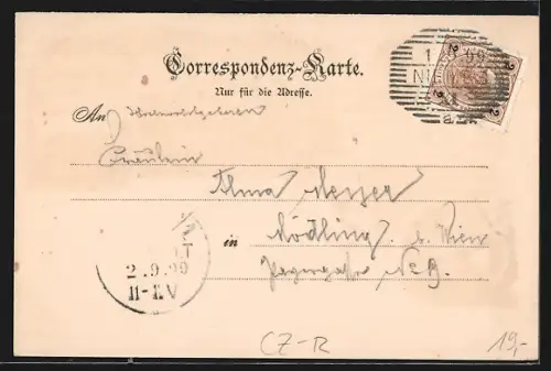 Lithographie Niemes, Hotel Leder, Volks- und Bürgerschule, Gräflich Hartig`sches Schloss
