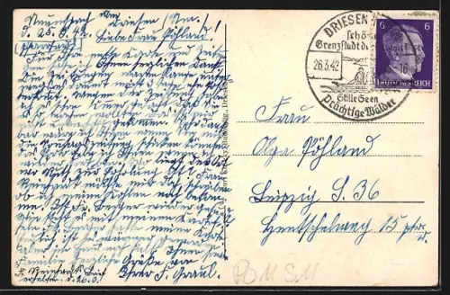 AK Driesen /Nm., Bismarckdenkmal mit Schloss