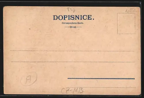 Lithographie Vlasim v Království Ceském, Starý zámek, Cínský pavilon, Skola, Knízeci hostinec