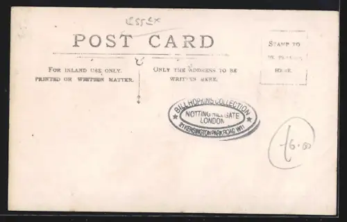 AK Gt. Waltham, Langleys