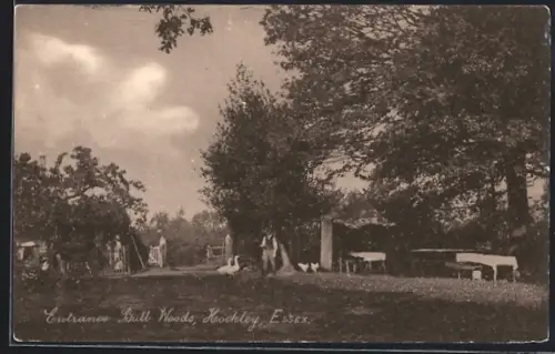 AK Hockley, Entrance to Bull Woods