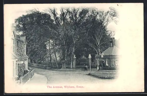 AK Witham, The Avenue