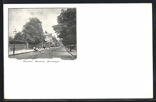 AK Halstead, Trinity Street
