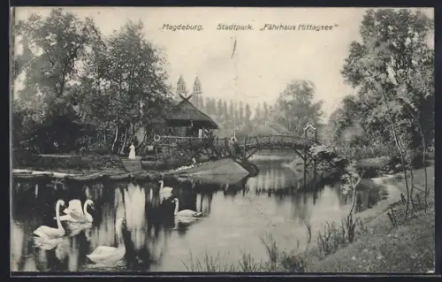 AK Magdeburg, Partie im Stadtpark mit Fährhaus Mittagssee