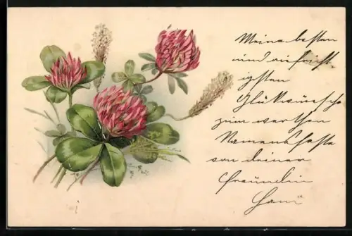 Lithographie Blühender Klee