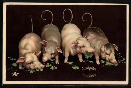 AK Glücksschweine fressen Kleeblätter, Souhaits sinceres