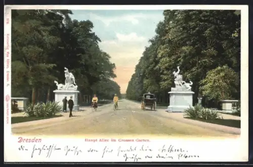 AK Dresden, Haupt Allee im Grossen Garten