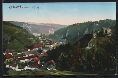 AK Rübeland i. Harz, Ortsansicht mit Felsen und Wald