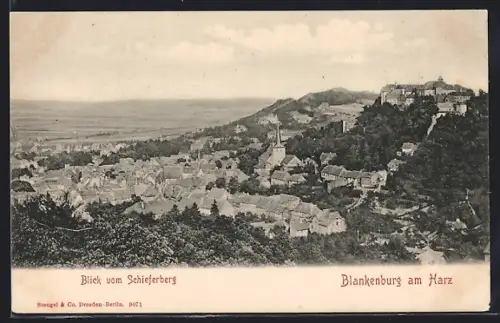 AK Blankenburg am Harz, Blick vom Schieferberg