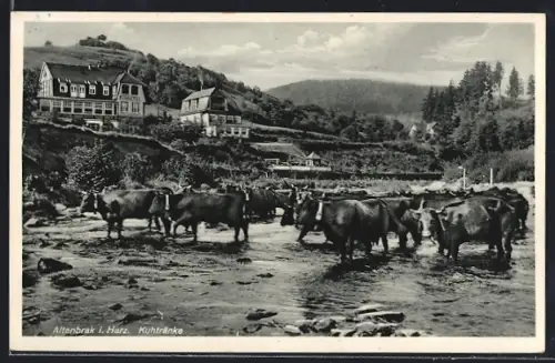 AK Altenbrak i. Harz, Kuhtränke