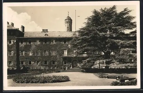 AK Bad Homburg v. d. Höhe, Schloss mit Zedernbaum