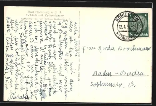 AK Bad Homburg v. d. Höhe, Schloss mit Zedernbaum