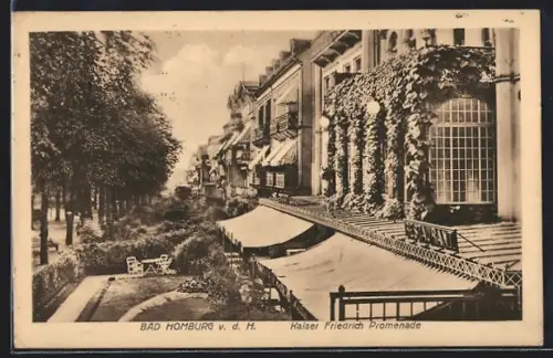 AK Bad Homburg, Kaiser Friedrich Promenade