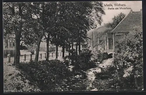 AK Wieda /Südharz, Partie am Wiedafluss