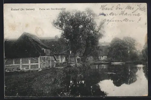 AK Ebstorf /Uelzen, Partie am Domänenteich